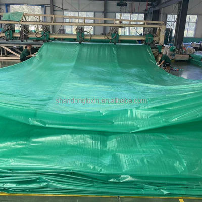 Customized Laminated PE Tarpaulin Plastic Tarps Fabric Sheet for Versatile Applications