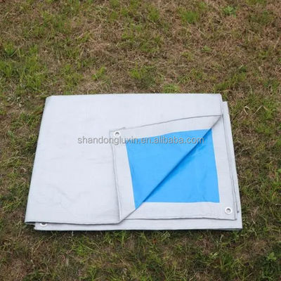 Customized Laminated PE Tarpaulin Plastic Tarps Fabric Sheet for Versatile Applications