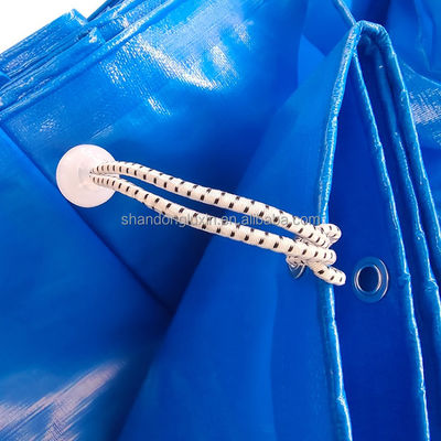 Customized Laminated PE Tarpaulin Plastic Tarps Fabric Sheet for Versatile Applications